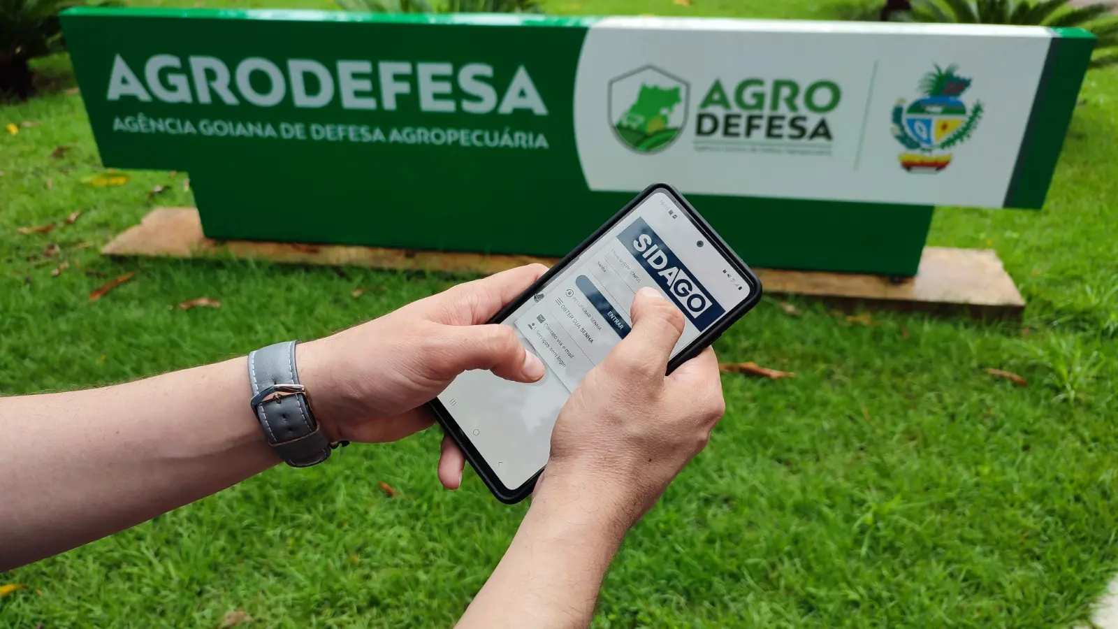 Agrodefesa convoca pecuaristas de Goiás para declarar rebanho